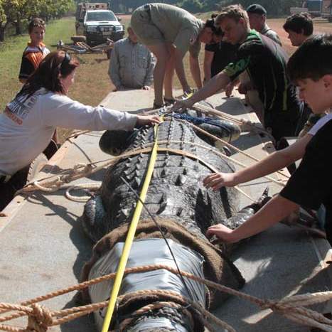 JRB-Australia-Crocodile-secure-croc