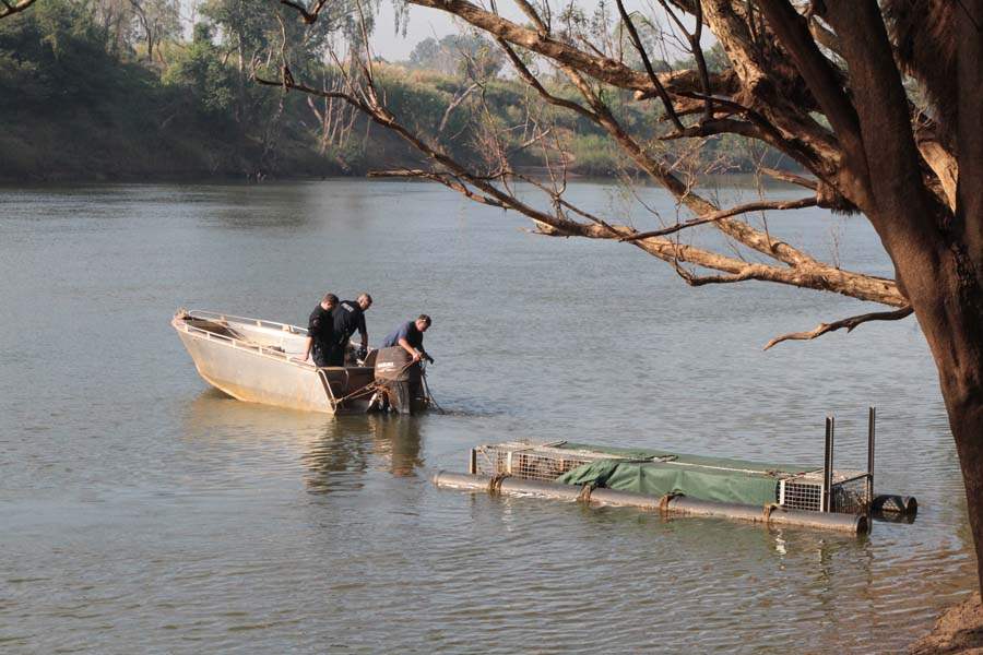 JRB-Australia-Crocodile-boat