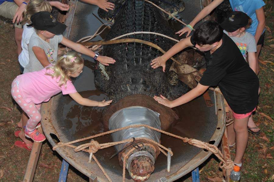 JRB-Australia-Crocodile-children-touch-croc