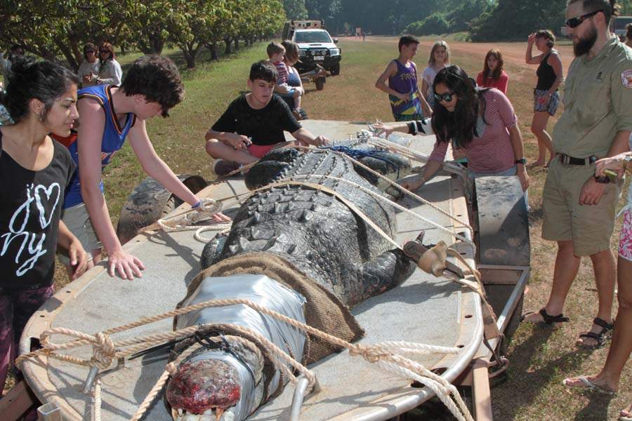 JRB-Australia-Crocodile-close-up-croc
