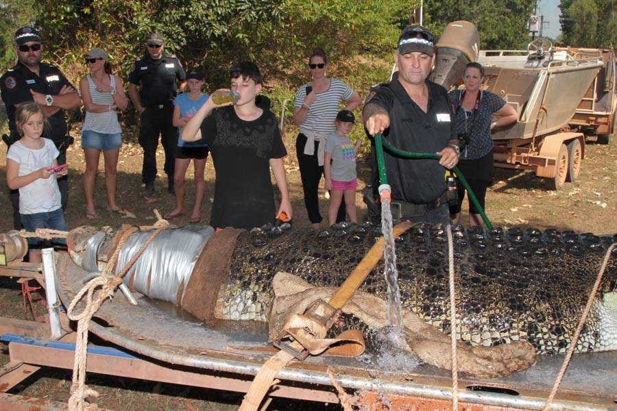 JRB-Australia-Crocodile-hose