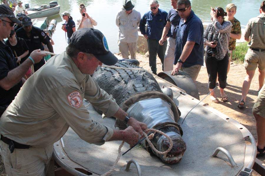 JRB-Australia-Crocodile-rope