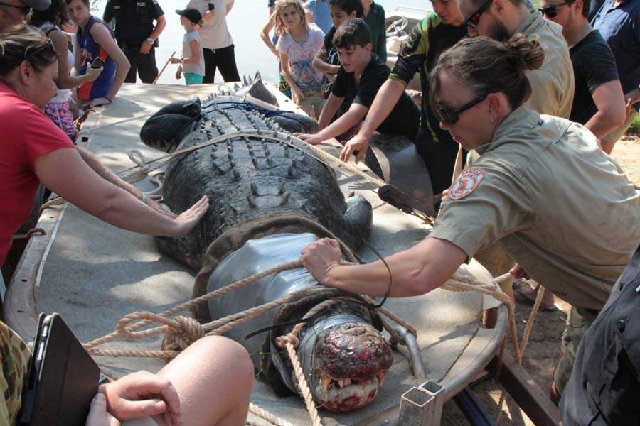 JRB-Australia-Crocodile-roped2