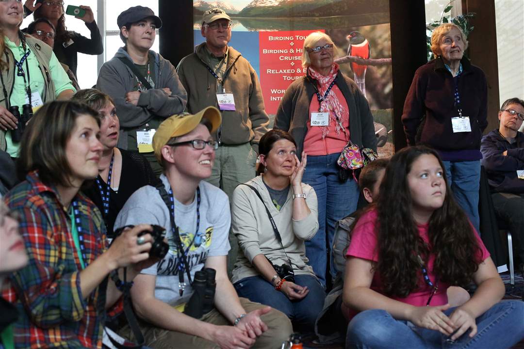 BirdTattoo-Kimberly-Kaufman