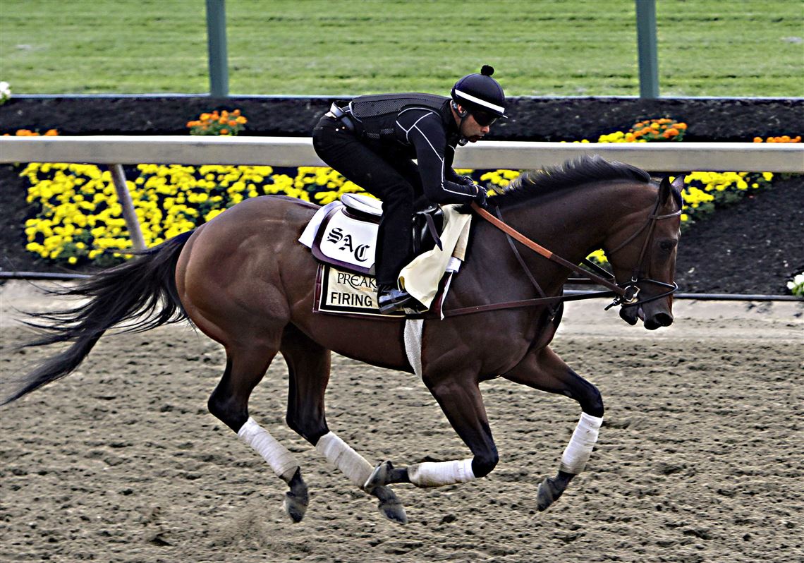 Top 3 Preakness horses go for morning gallop day before race | The Blade, image size:1140x798