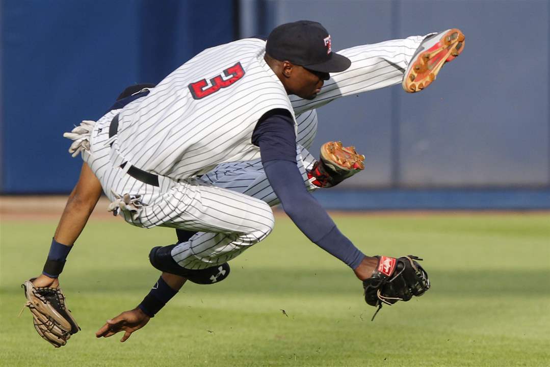 SPT-Hens19p-Dixon-Machado