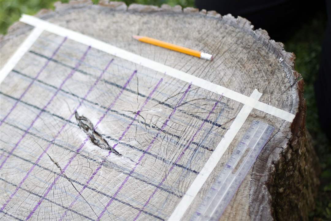 FEA-CHASEGARDEN14P-games