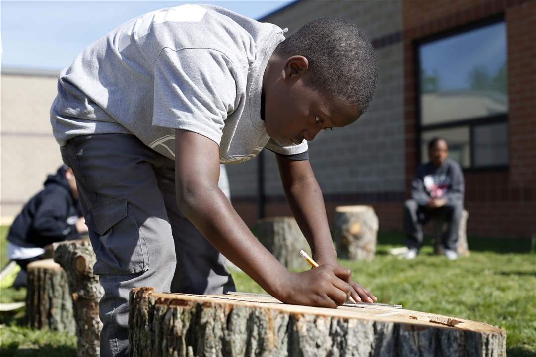 FEA-CHASEGARDEN14P-tree-stump