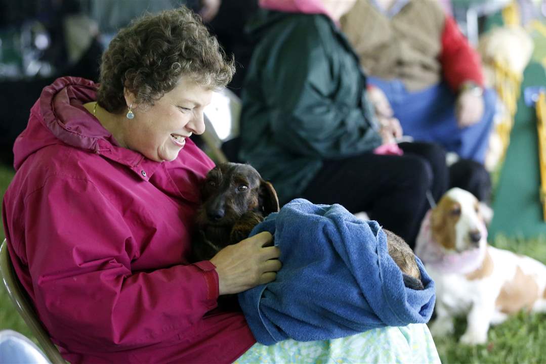 Toledo Kennel Club Dog Shows The Blade