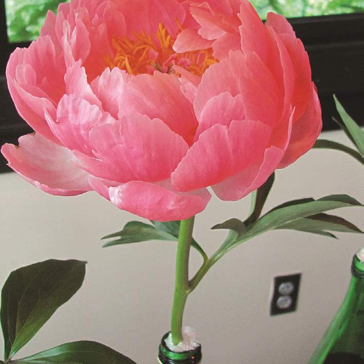 626efa20-5e60-4d66-b466-0c587be557de