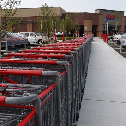 BIZ-costco11p-carts