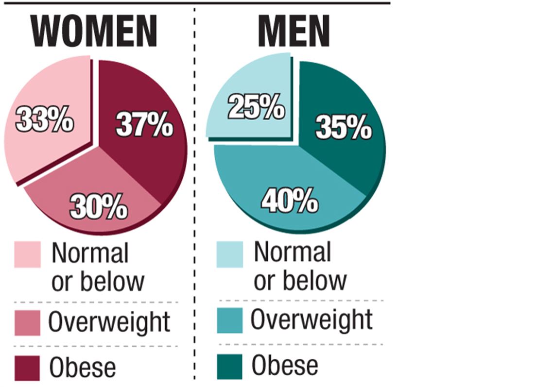 Obesity In America Pie Chart