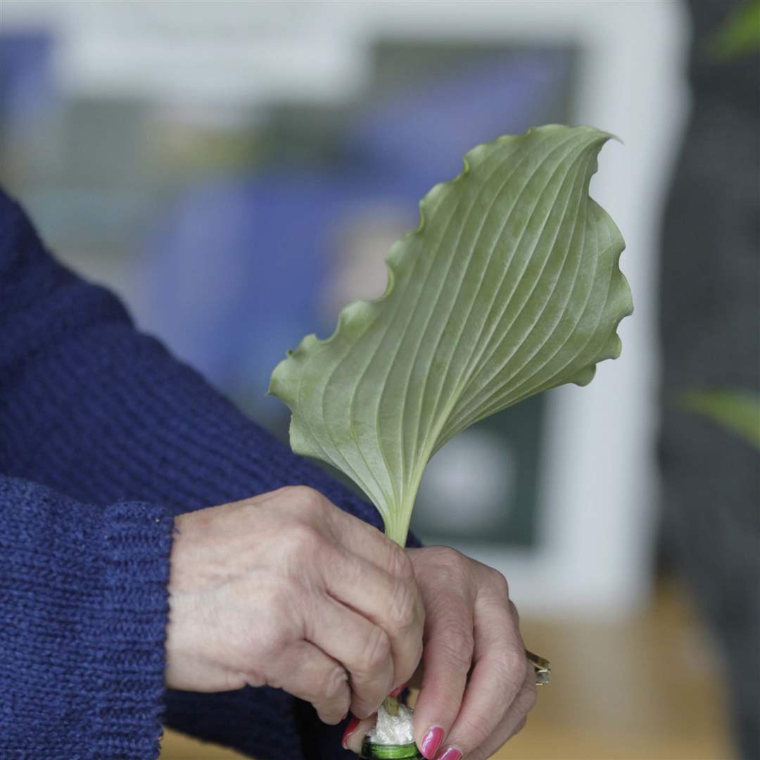 MAG-arrange01p-Joyce-Quinlivan