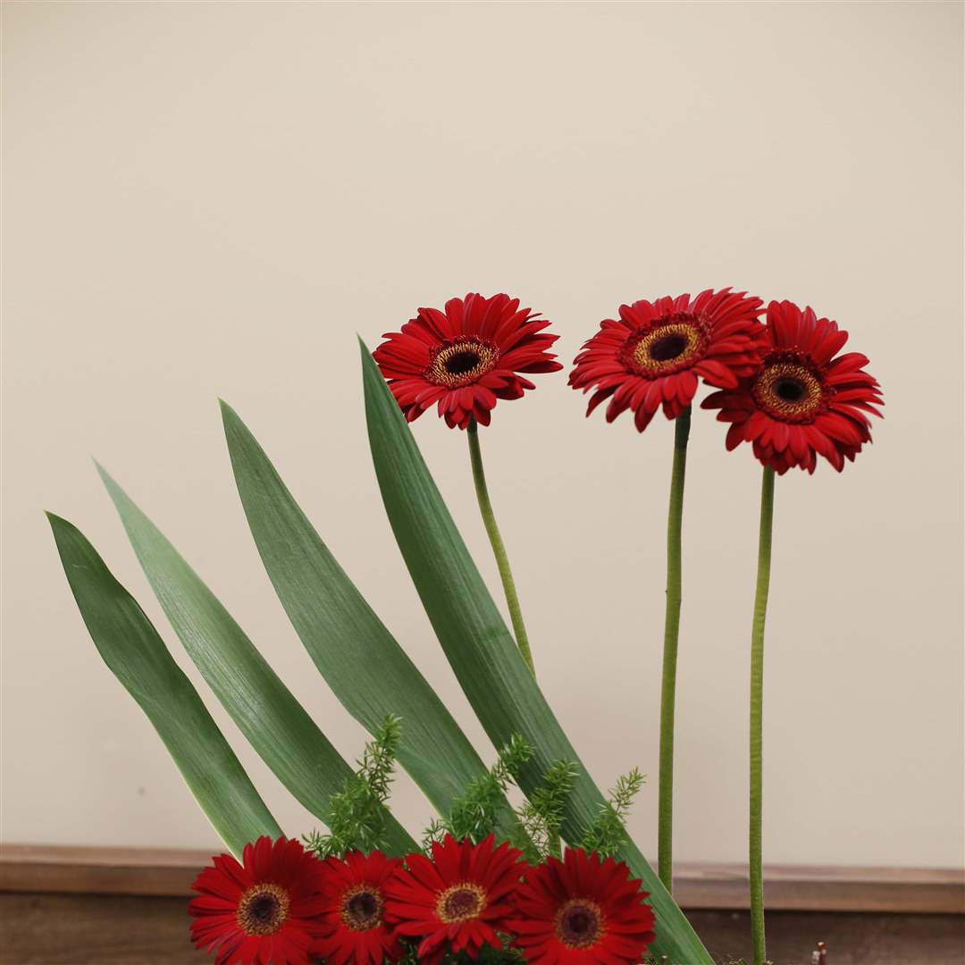 MAG-arrange02p-Meigen-McIntyre