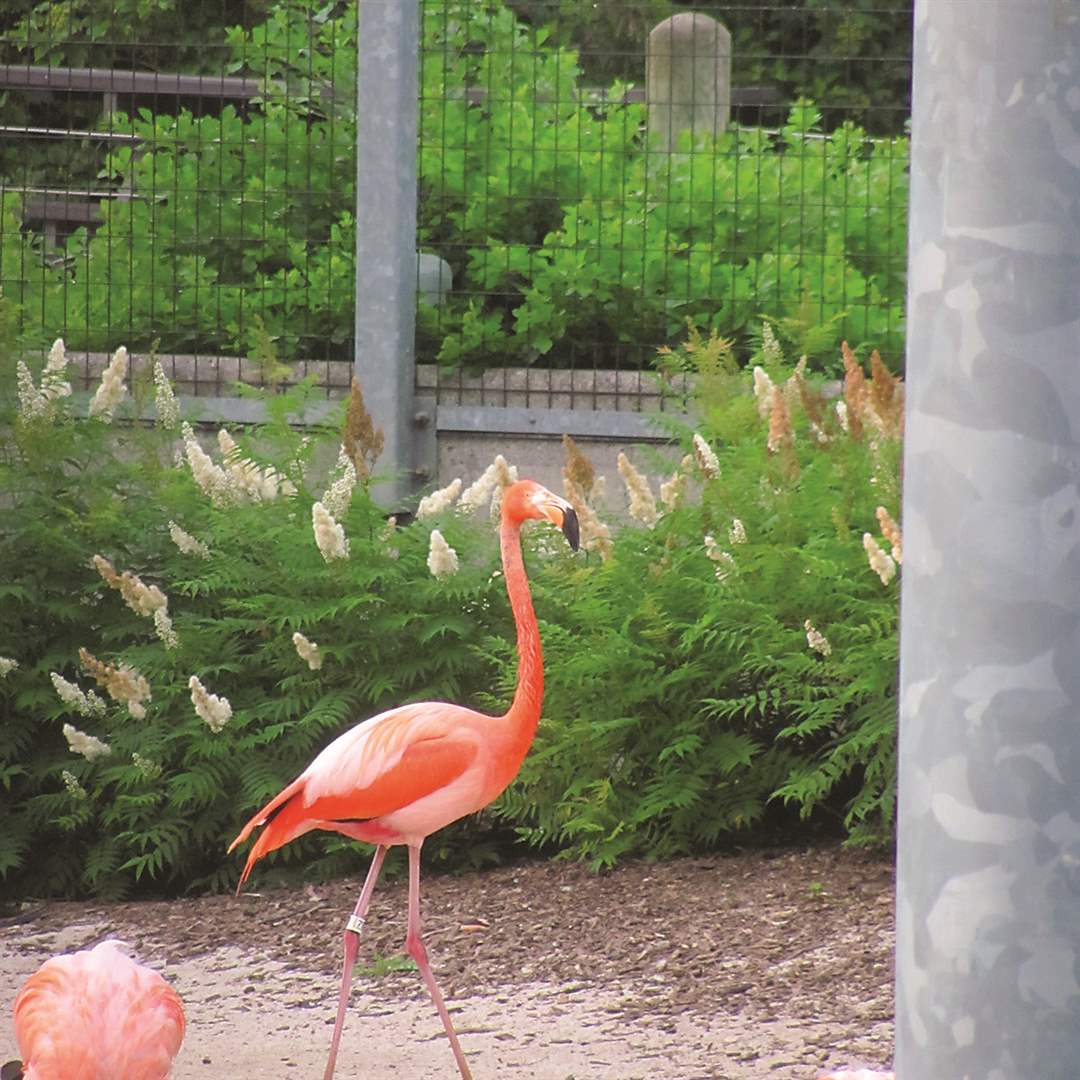 a9c02185-22fe-4d68-b7ea-bb04329c372b