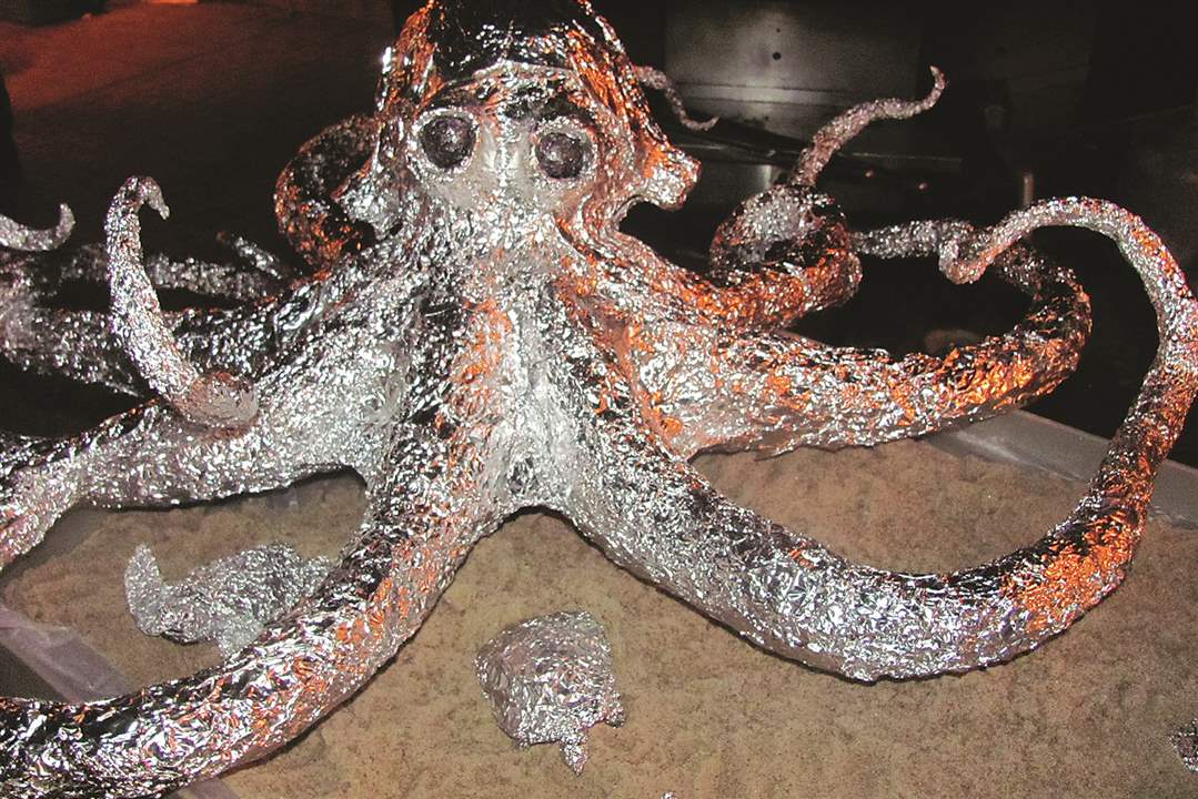 2591cacc-4343-4870-a489-8bc112962811