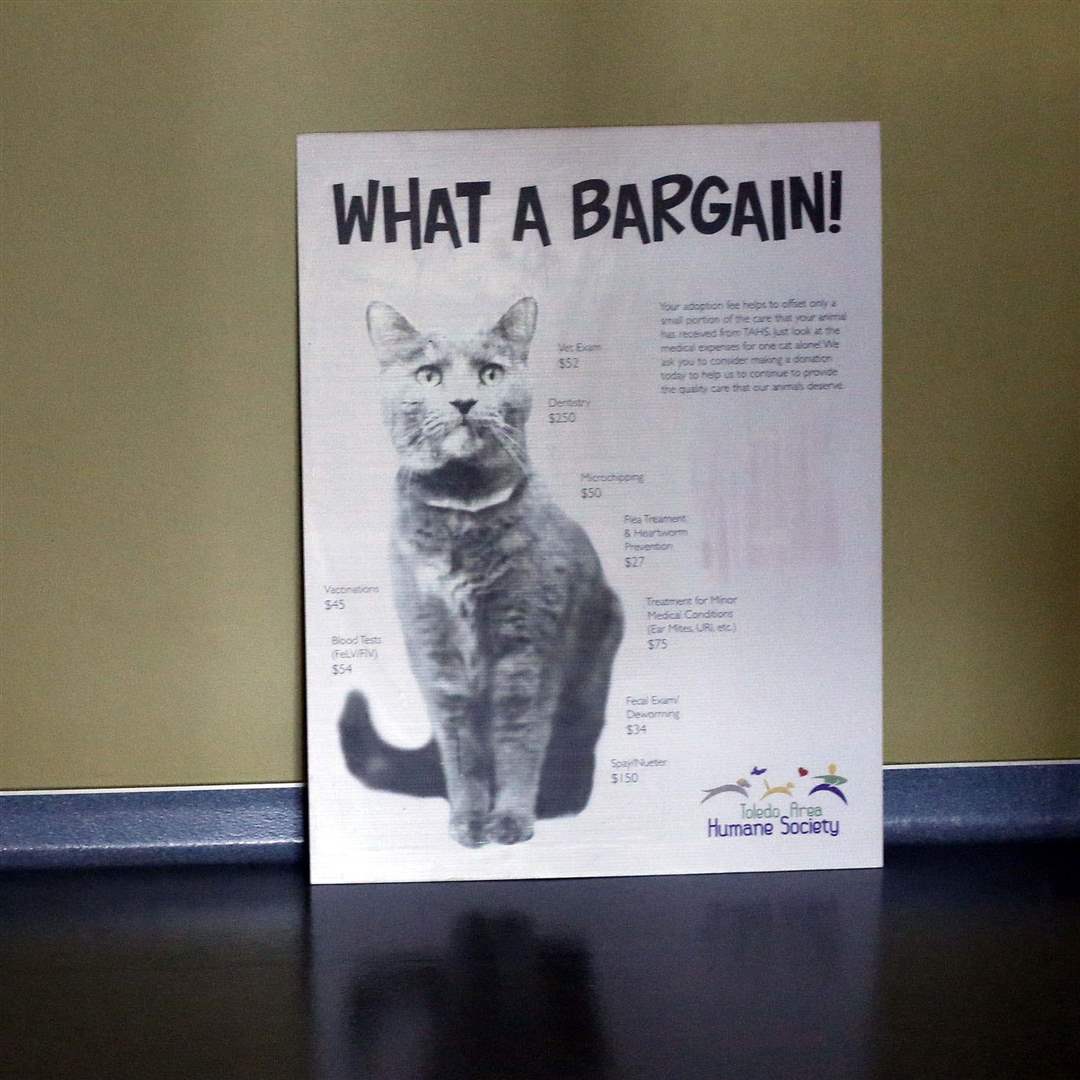 CTY-TAHSMOVE07p-sign