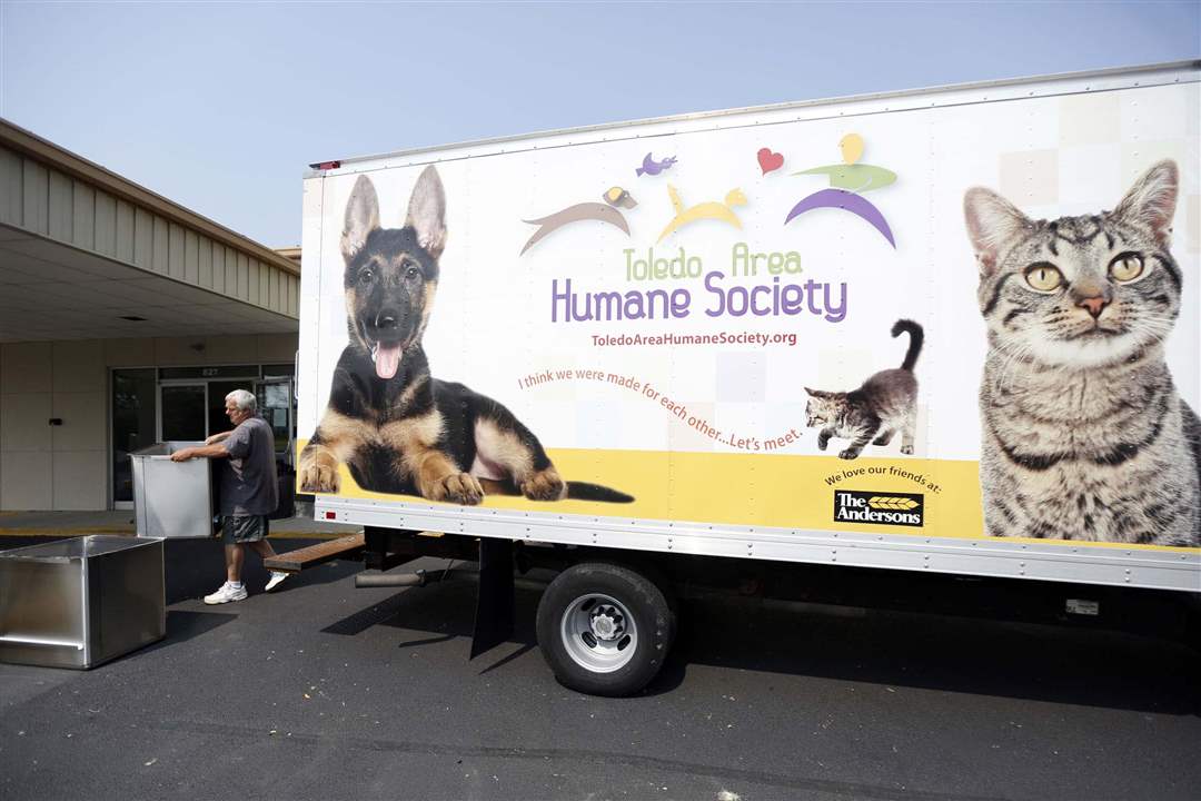 CTY-TAHSMOVE07p-shelving