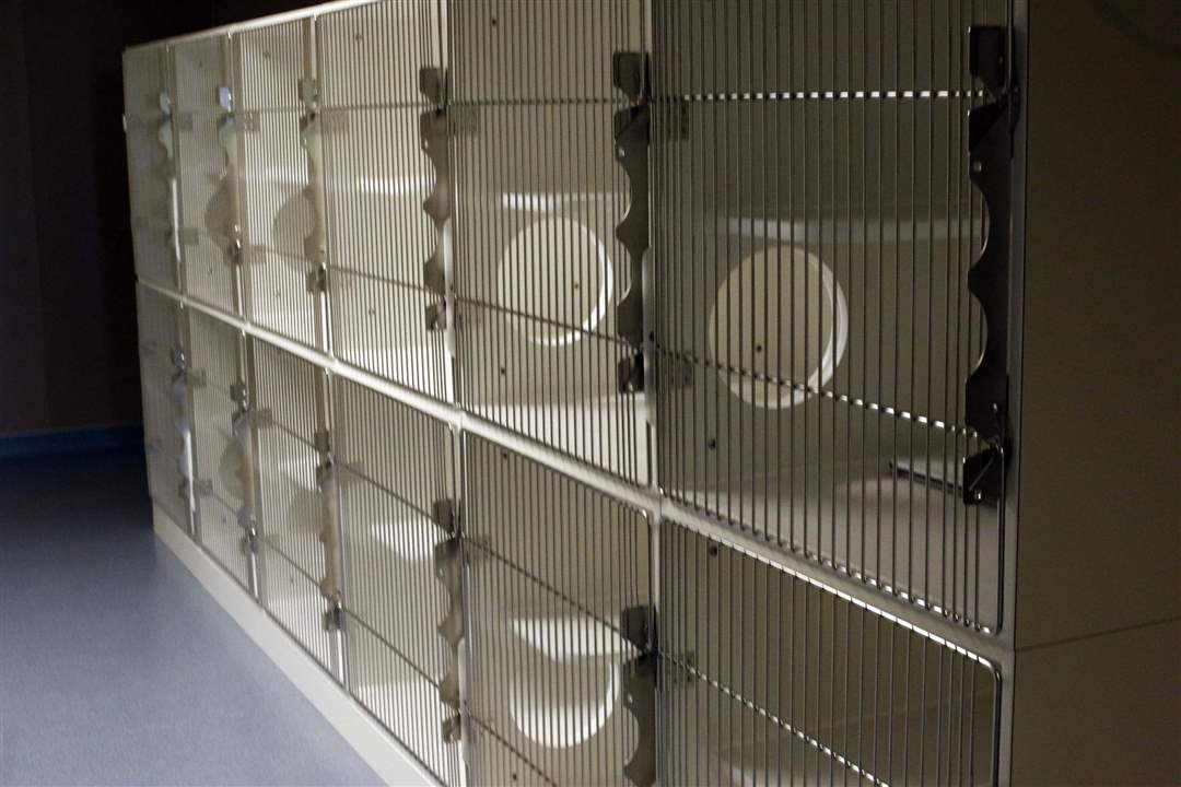 CTY-TAHSMOVE07p-cage