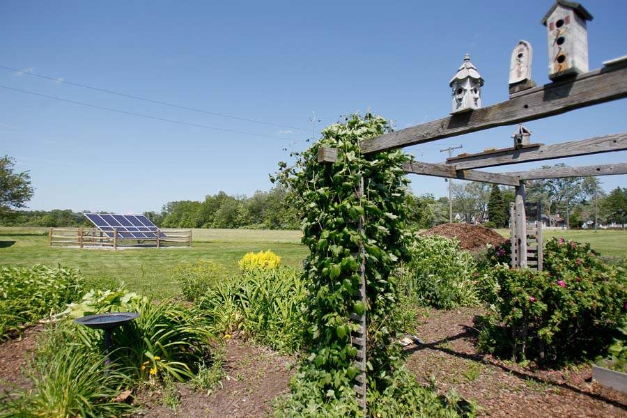IHMGREEN10p-St-Mary-Organic-Farm-butterflies
