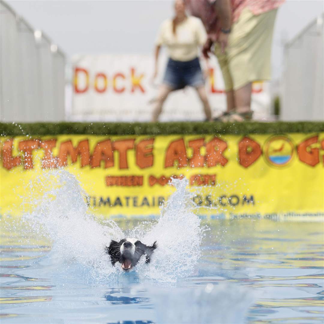 AIRDOGS12p-Laura-O-Donell