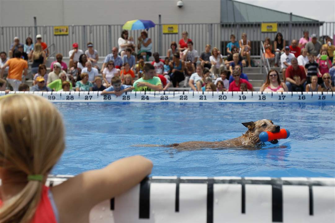 AIRDOGS12p-Jourdan-Niemiec