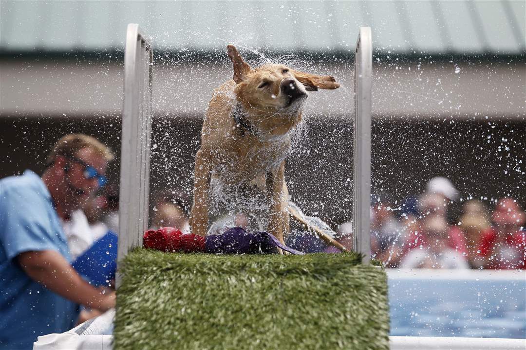 AIRDOGS12p-Vickie-Raburn