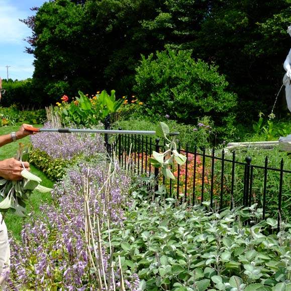 FEA-zoohort16p-Dale-Sinkovic