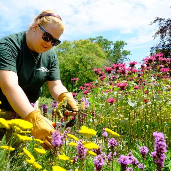 FEA-zoohort16p-Mandy-Hansen