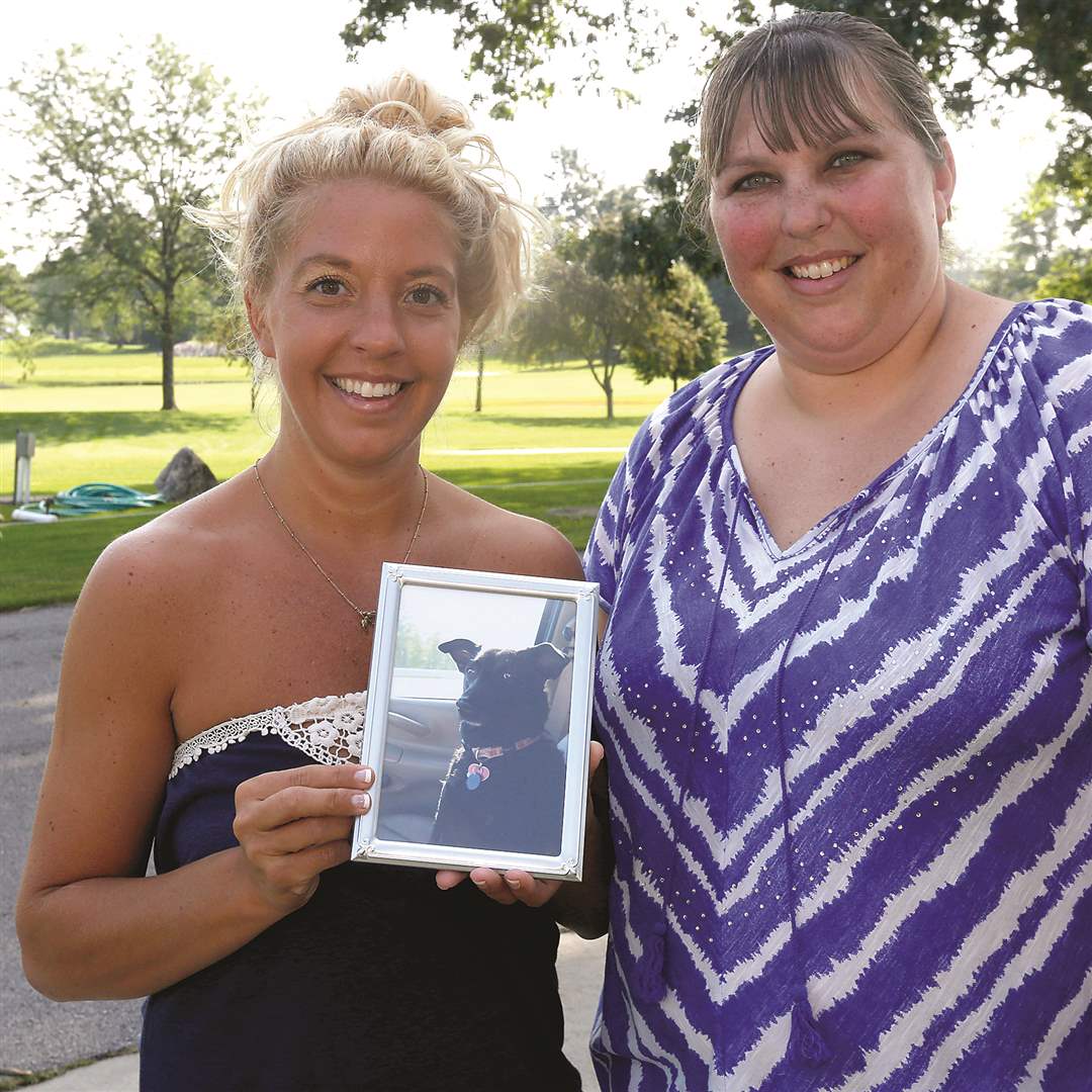 8b3717db-6325-4343-a460-8fb133949ef4