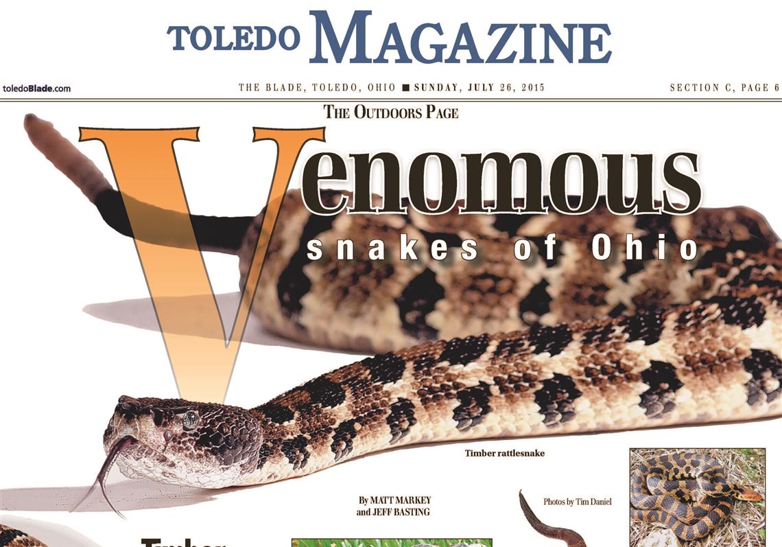 venomous snakes in ohio map The Venomous Snakes Of Ohio The Blade venomous snakes in ohio map