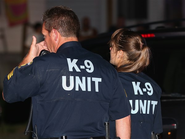 Police K-9 killed along with suspect after chase | The Blade