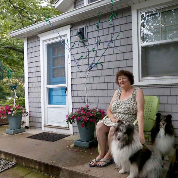 FEA-wiarmarcia17p-marcia-king-and-dogs