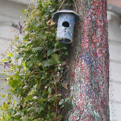 FEA-wiarmarcia17p-ugly-hemlock-tree