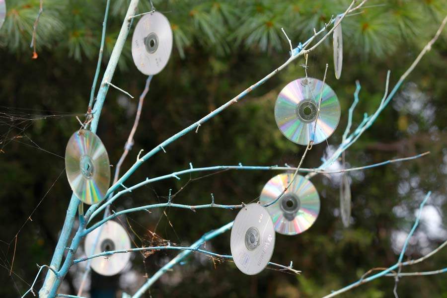 FEA-wiarmarcia17p-cd-tree