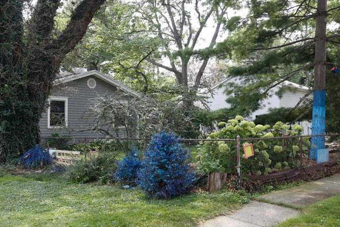 FEA-wiarmarcia17p-side-yard