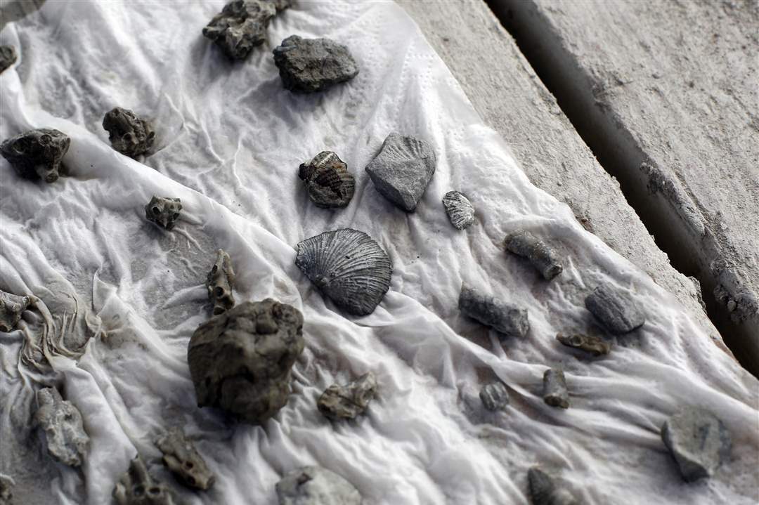 7be7b193-24d1-48a4-95f5-fca02af2636d