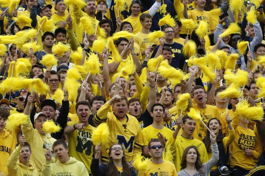 SPT-michigan-fan-section