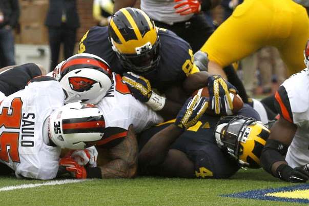 SPT-michigan-um-smith-dog-pile