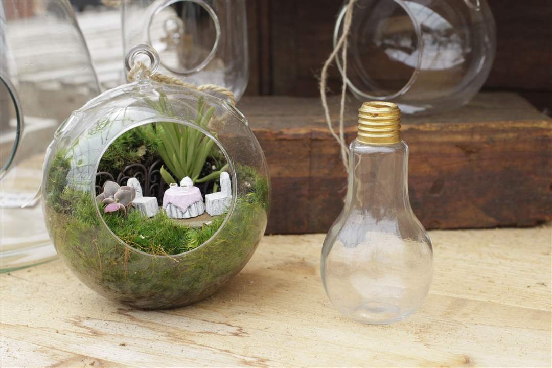 FEA-terrariums-2An-open-terrarium-with-access