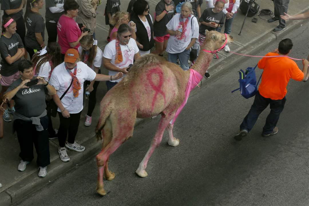 04680e78-835d-4561-bd06-5364343c80fd