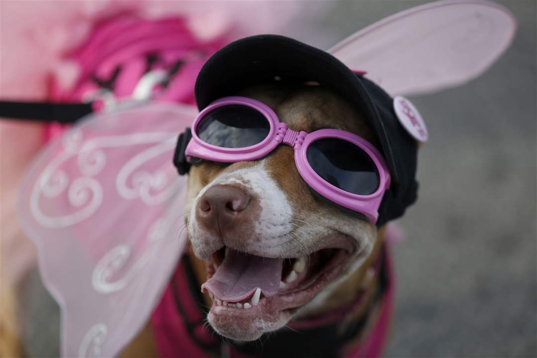 56e10adb-52f1-4cc2-be1e-afd725689a81