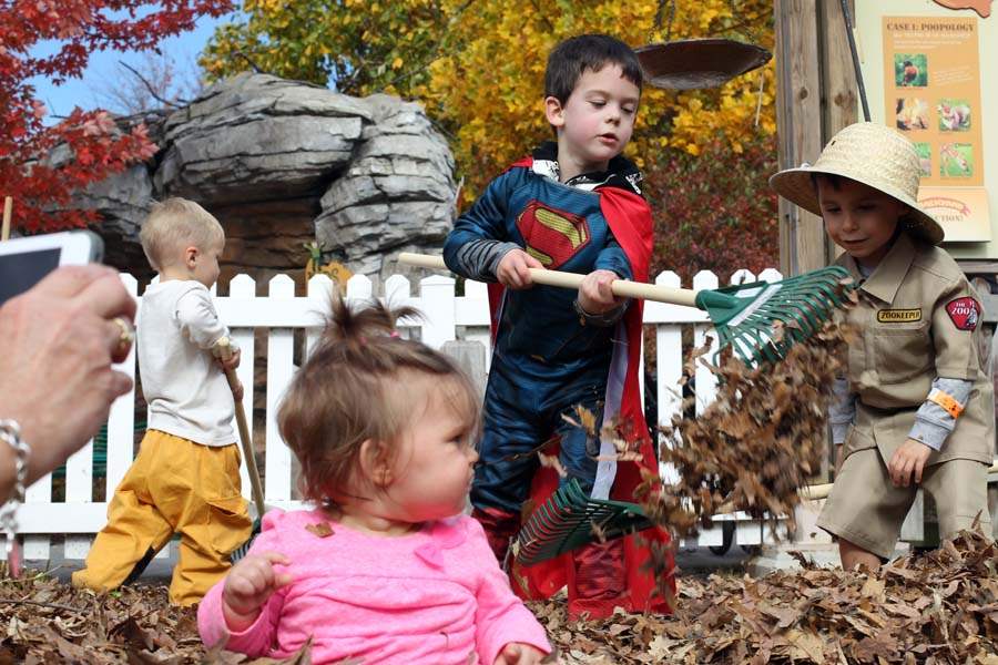 littleboo22p-brenner-kaffenberger-odum