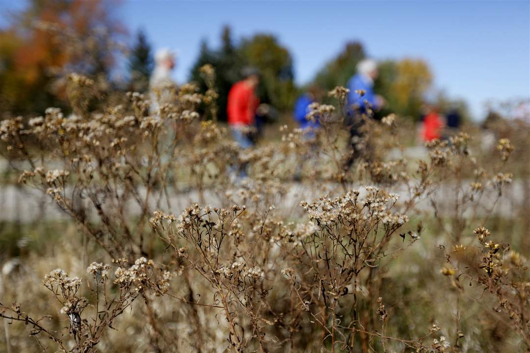 CTY-battlefield25p-9