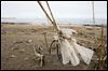 Alarm rising over possible plastic pollution