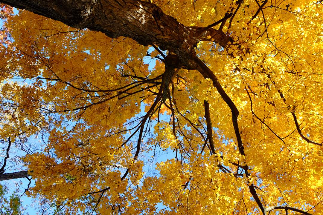 5be627e9-4917-4389-953b-cac184259986