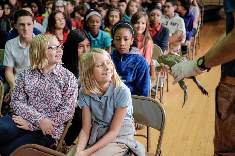 CTY-students17p-Cora-Cladsaddle