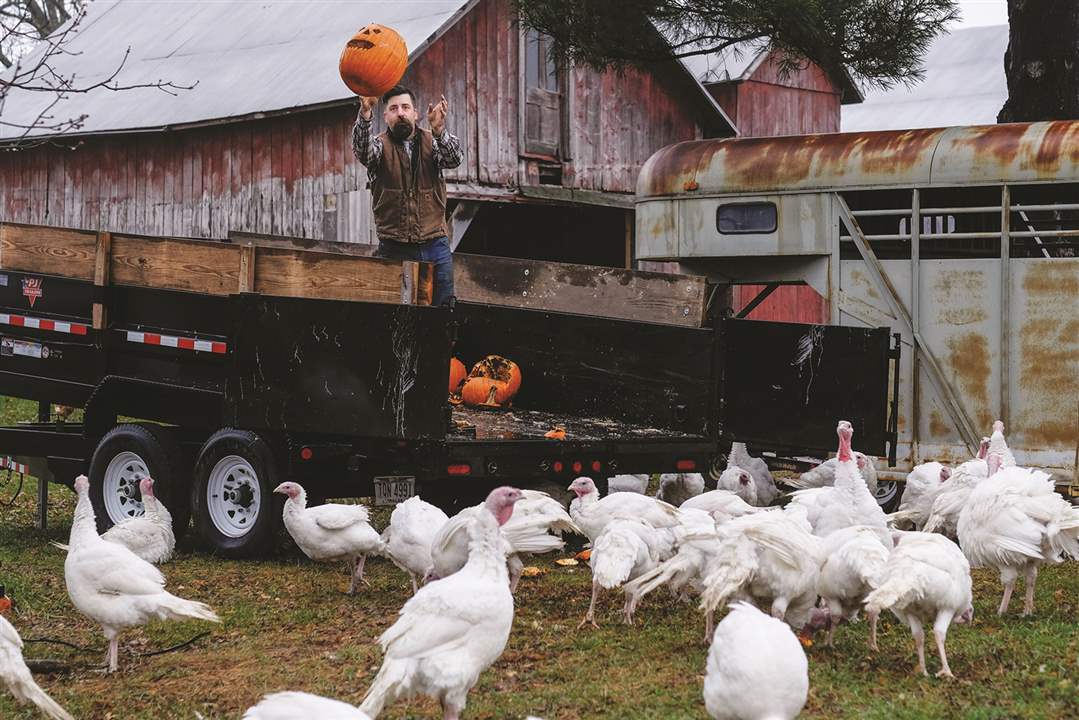 da73a8a7-0529-40fe-9058-353af3f86015