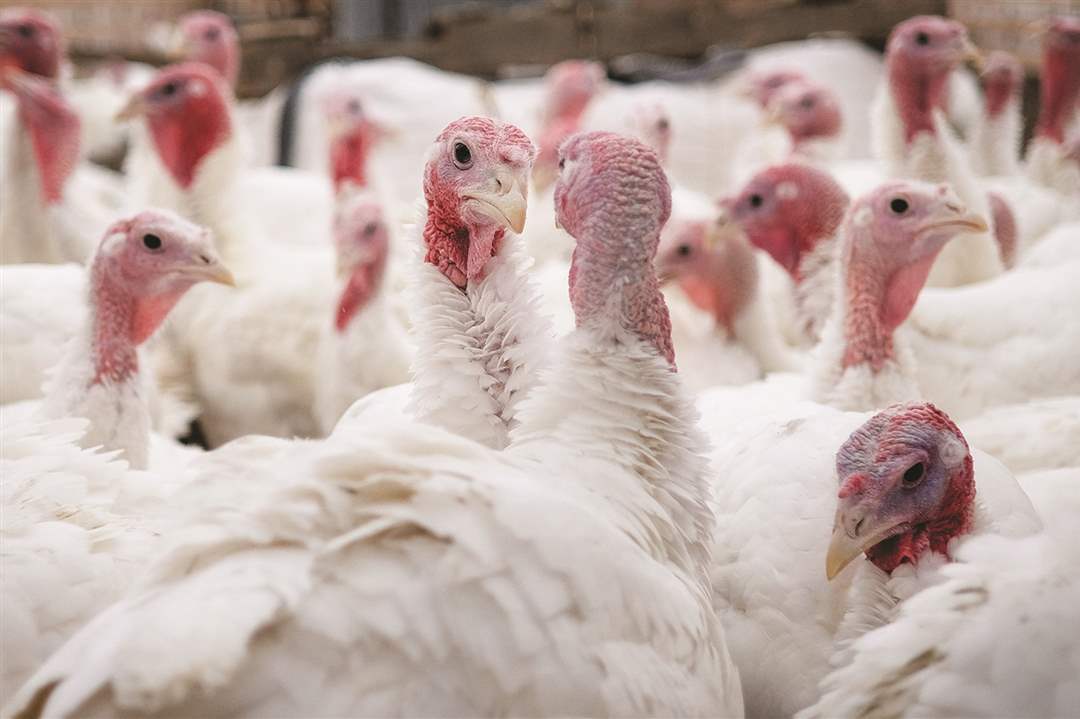 e1bae1e6-e615-4ed7-bc78-f295ee130161