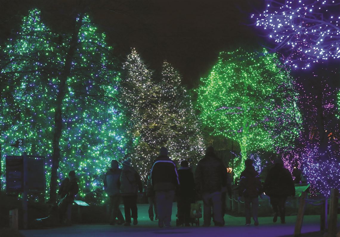 Lights before christmas hotsell
